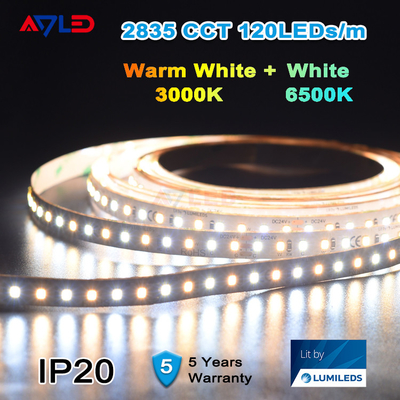 Luz de tira branca ajustável dinâmica 12V do diodo emissor de luz impermeável